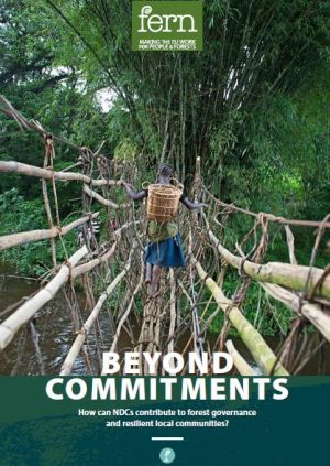 Fern Beyond Commitments